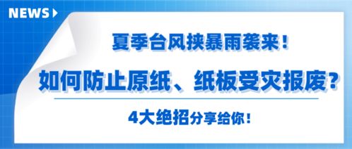 數(shù)字化紙板工廠(chǎng) 數(shù)字內(nèi)容制作服務(wù)基礎(chǔ)知識(shí)詳解